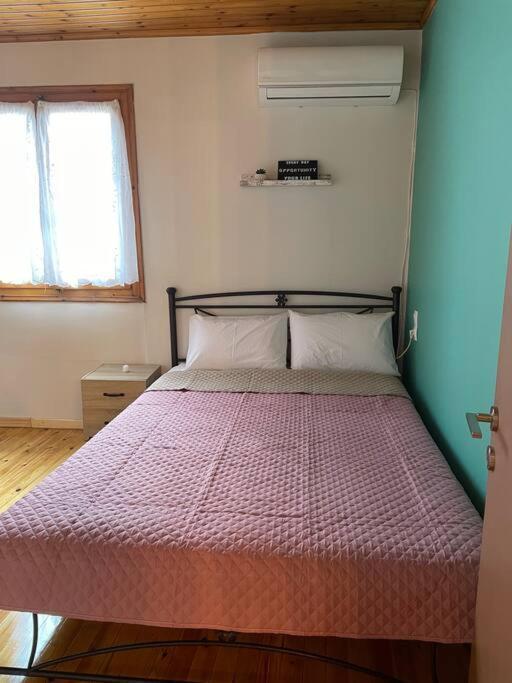 דירות ואסיליקי Politis' Wooden House מראה חיצוני תמונה