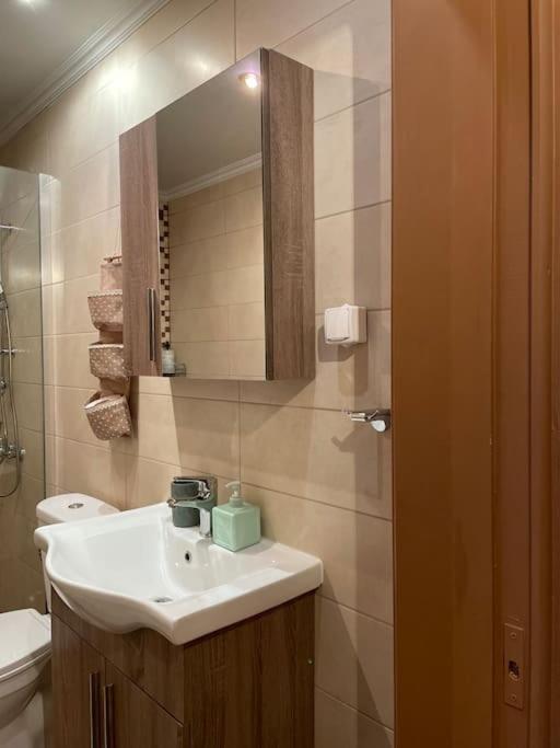 דירות ואסיליקי Politis' Wooden House מראה חיצוני תמונה